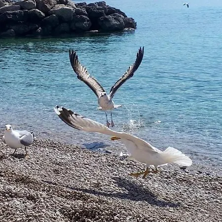 Διαμέρισμα Lovely Close To The Jezevac